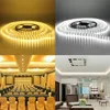 30m 12V 5M 5050 Dubbele rij SMD Tube 600 LED's Waterdichte LED Strip Licht Warm Wit Groen Cool Kleurrijk RGB LED-licht