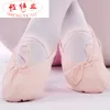 Das mulheres Confortável Respirável Lona Sapatos de Dança de Ballet Macio Adequado Para Adultos e Crianças Menina Size22 ~ 42 16 ~ 26 cm CXTY-005