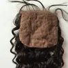 8A silk base lace closure with bundles Malaysian Brazilian Peruvian Indian deep wave vingin hair 1 pc closure and 3 bundles weft