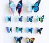 Symulacja 3D Butterfly Dekoracja PCV Naklejki ścienne Lodówka Magnes 12 garnitur dla OutoorgardenbalCony8734418