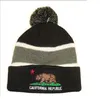 Många nya vinterbönor Kalifornien beanie ull stickning utomhus skidåkning mössa mössor sport baseball mössor hattar mössa blandade ordningar hög kvalitet