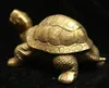 Kina Fengshui Bronze Brass Lucky Lycklig Longevity Tortoise Turtle Statue A