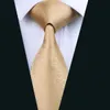 Sistema de corbata de oro de envío rápido para hombres Hankerchief Top Venta Venta Jacquard Tejido Clásico Trabajo de negocios Ocio Necktie Set N-0532