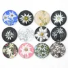 NEW Arrival 18mm Cabochon Glass Stone Button Cabochon Edelweiss Interchangeable Snaps for 18mm Snap Jewelry Bracelet Necklace Ring Earring