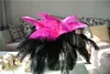 wholesale 100pcs/lot black and fushia Ostrich Feathers ostrich plumes for wedding centerpiece wedding party decor