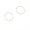 Silver Gold Color Hoop Kolczyki dla kobiet obręcze Orecchini Cerchio Boucles D039oreilles Cercles Women Huggie Big Circle5453894