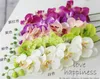 İpek Tek Kök Güve Phalaenopsis Orkide Çiçek Kök 80cm/31.5 "Uzunluk Yapay Cymbidium Kelebek Orkide Düğün Centerpieces için 5 Renk Mevcut