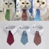 Pequeño tamaño mediano perro gato mascota raya pajarita cuello blanco multicolor colores