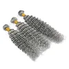 Cheveux gris argentés à vague profonde 3 faisceaux avec fermeture frontale 13x4 100 Extension de tissage de cheveux bouclés profonds de cheveux humains avec fermeture frontale supérieure