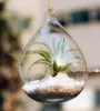 hangende glazen planter