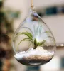 terrarium water