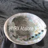 Abalone-Muschelgrüne Mosaikfliesen für die Küchenrückwand, Perlmutt-Mosaikfliesen, grüne Abalone-Mosaik-Rückwandfliesen284N8264137