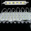 6 اختيار الألوان ذات جودة عالية 6 المصابيح 5050 SMD الصمام الخلفي وحدات مصباح DC 12V للماء IP65 العظمى لقناة رسائل لافتة الإضاءة