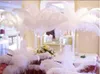 2015 جديد وصول الطبيعية الأبيض النعام الريش برومث محور لحفل زفاف الجدول الديكور شحن مجاني