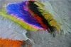 Ganz 100pcslot 1012inch weiß schwarz rot hellrosa königsblaues türkis lila ostrich feather für Hochzeit Centerp1053161