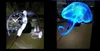 En Yeni 3D Holografik Görüntüleme Reklam Makinesi LED Projeksiyon Döner Fan Gözlük gerektirmeyen 3D görüntü Etkisi DHL tarafından Gözküresi 50cm çekin