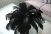 Whole 100pcslot Ostrich Feather Plumes Ostrich Feather Black for Wedding Centerpiece Wedding Decor Coetumes Party5804653