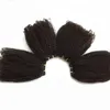 Afro Kinky Curly Virgin Human Hair Weave Bundles Cheap Brazilian Malaysian Peruvian Indian Mongolian Curly Hair Extensions Natural Black