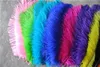 100pcslot 1416inch White black red light pink pink royal blue turquoise orange purple green Ostrich Feather Wedding centerpi1413344