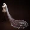 Elegante Nova Chegada Cristal Nupcial Veios Catedral Lace Lace Appliqued 3M Longo Véu de Casamento Com Pente Gratuito