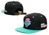 2018 Hela märkes snapback hattar högkvalitativ rosa delfin snapbacks kepsar billiga baseball snap cap mode hip hop hatts265f