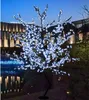 Paysage extérieur étanche jardin pêche à la lampe à pêche à la lampe à pêche 15 mètres 480 lumières LED Blosry Blossom Lumières Garden décorat8828950