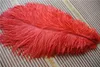 Whole 100 pcslot 1416inch Red Ostrich Feather for wedding table centerpieces wdding decor party supply decor3299104