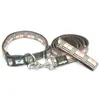 Großhandelsset mit Halsband und Leine für Hunde, verstellbare Halsbänder für Hunde, Größen Small, Medium, Extra Large, Markenprodukt, kostenloser Versand