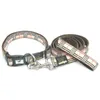 Wholesale Pet Collar and Leash Set Ajustable Collars for Dogs Small Medium Extra Large Sizes Available,Brand product Free Shipping