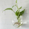Kristallglas-Wand-Pflanzer 5PCS / set, hängende Wand-Luftpflanzen-Brot-Terrarien mit Moos, Wandaquarium für Wanddekor, Hausraumverzierung