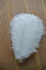 100pcs / parti 14-16inch 35-40cm vit strutsfjädrar plumes för bröllopscentrum för bröllopsfesthändelse