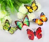 Kolorowy światłowodowy motyl Nightlight 1 W LED Butterfly na Wedding Room Night Light Party Dekoracji Wklej na Światłach NL009