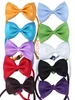 200 teile/los Fedex DHL Kostenloser versand Pet Krawatte Hund Fliege Bowtie Katze Krawatte Hundesalon Liefert 19 farben