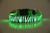 Collari Pet lampeggianti Collari per cani con LED colorati in nylon colorati Collo stile zebra a led 2.5m Larghezza 8 colori S / M / L