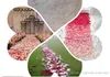 2000pcslot Silk Rose Petals Petalas Wedding Decorations Artificial Polyester Flowers Confetti 55 Colors Wedding Decoration Flower2401424