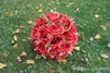 10 "/ 25 cm人工ローズシルクフラワーキスボールの美しい星のぶら下がっている花のボールウェディングクリスマスの飾りパーティーの装飾