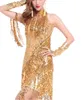 Women's 1920's 20s Sequin Great Gatsby Flapper Girl Formal Vintage Themed Party Clothing Style Dresses Clothes Women