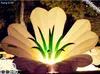 Artificial Flowers 2m Ground/Hanging Inflatable Flower for Yard and Hall Decoration