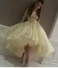 Senaste toppkändisklänningar Myriam Fareslight Yellow Evening Dress Prom Dress Crew Neck Lace Pärled Långärmad TEALLÄGGNING Party8502464