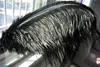 whole 100pcslot Ostrich Feather Plumes OSTRICH FEATHER black for Wedding centerpiece wedding decor coetumes party decor8160885