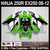 KAWASAKI ZX 250R EX250 08-12 MY24 녹색 흰색 ZX250R를 들어 8Gifts + 바디 08 09 10 11 12 EX 250 ZX250R 2008 년 2009 년 2010 2011 2012 바람막이