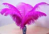 Wedding party Supply Ostrich Feather 100pcs/lot Plume wedding centerpieces table decoration Many Sizes for You To Choose