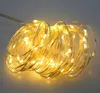 5m 10m 50100 LED Copper Wire String Light Fairy Lamp 3AA Battery Box With Remote Control Wedding Party Festivals Decoration6378750