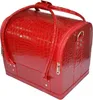 Cosmetic Case Makeup Train Case 1pcs/lot 5 Colors Bags Women Pink Tote Bag Make Up Organizer Multifunctional
