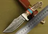 Samlarens utgåva Damaskus stål Straight Kniv Antler Hantera Utomhus Överlevnad Jaktknivknivar med lädermantel