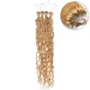 ELIBESS HAIRMicro anneau Extension de cheveux 08gstrand 200 brinslot 1 1B 4 6 couleur vague d'eau boucle Micro anneau Extensions de cheveux 5631185