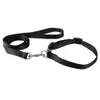 Gros-Nyon Puppy Pet Dog Walking Leash Lead Noir Violet Bleu Rouge pour petits chiens de taille moyenne