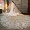 Classy Long Bridal Veils Cathedral Length Lace Applique 3M Wedding Veil Ivory Or White Veil With Comb258l