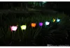 Gran oferta de luces LED con energía solar, luz de flor de tulipán, jardín al aire libre, camino de jardín, 7 colores para elegir