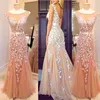 Real Pictures 2015 Sexy Sheer Tulle Blush Long Prom Pageant Dresses Gorgeous Lace Appliqued Mermaid Formal Evening Party Dresses EV0265